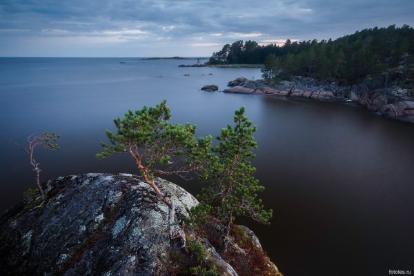 Уницкая губа Онежского озера