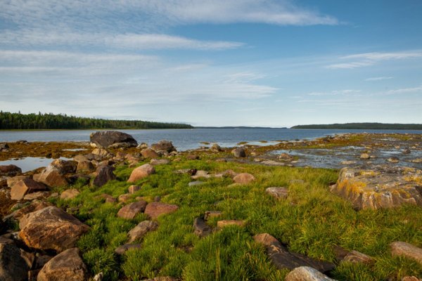 Архангельск берег белого моря