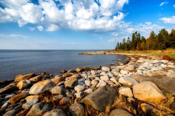 Берег Онега белое море