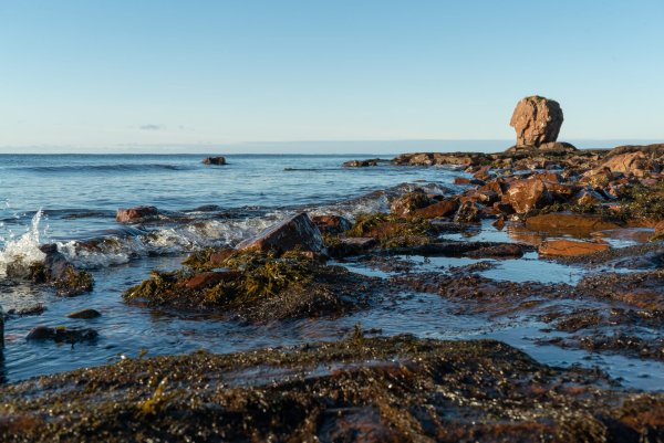 Архангельск берег белого моря