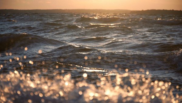 Блики солнца на воде