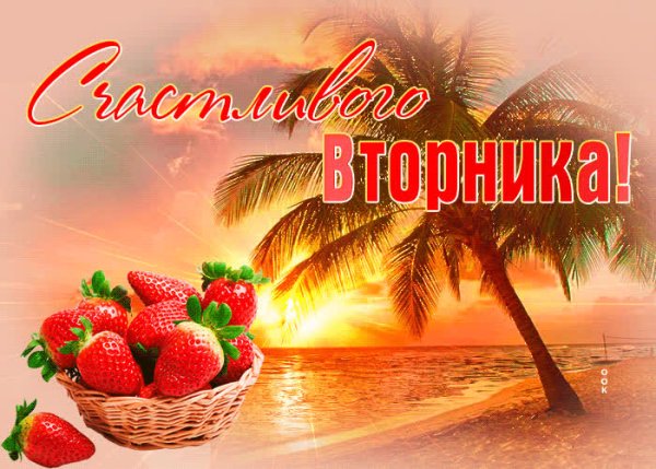 Доброго вторника море