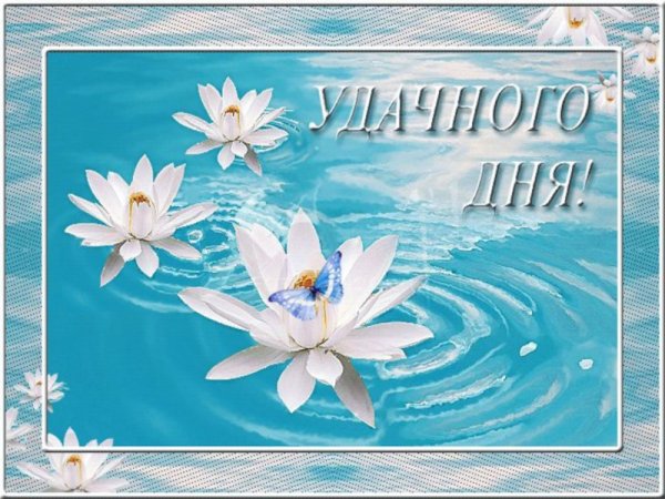 Открытки с пожеланиями удачного дня