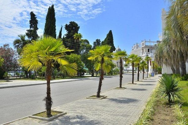 Абхазия Сухуми море