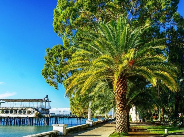 Набережная Махаджиров Абхазия