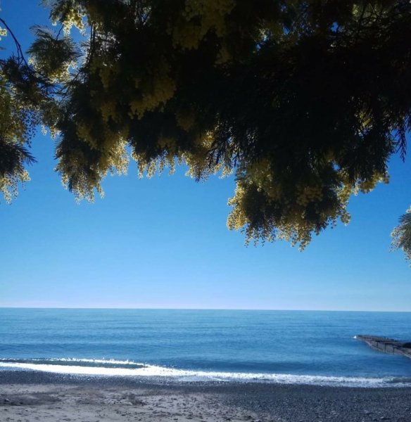 Сухум Абхазия море пляж