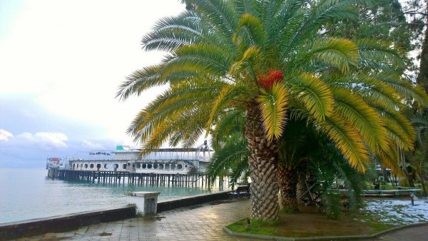 Набережная Сухума в Абхазии