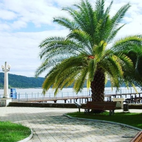 Абхазия Сухуми море пляж