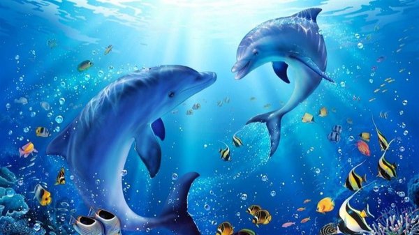 Дельфины сказочные