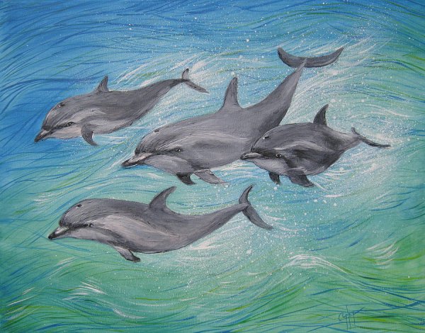 Дельфин для рисования