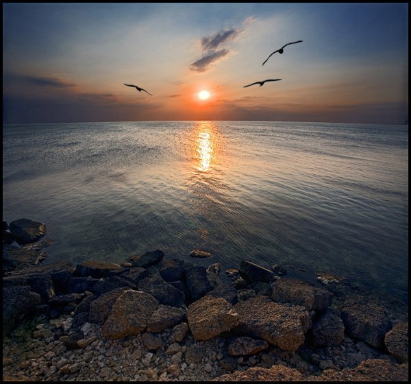 Ночной морской пейзаж