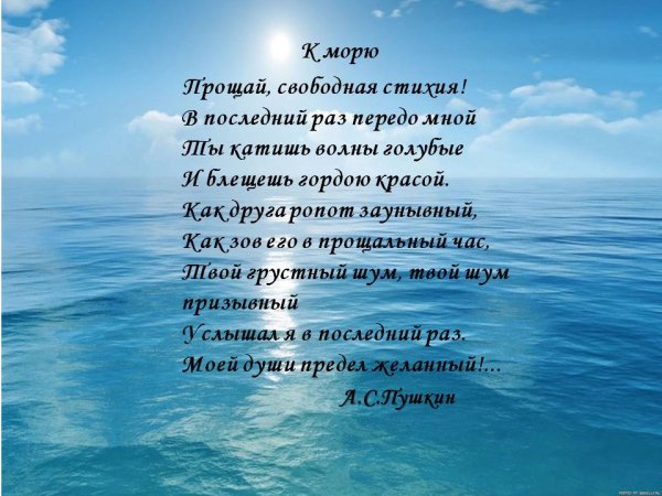 Море птицы девушка