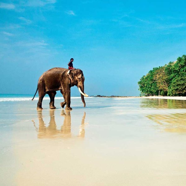 Анжуна Север Гоа Индия