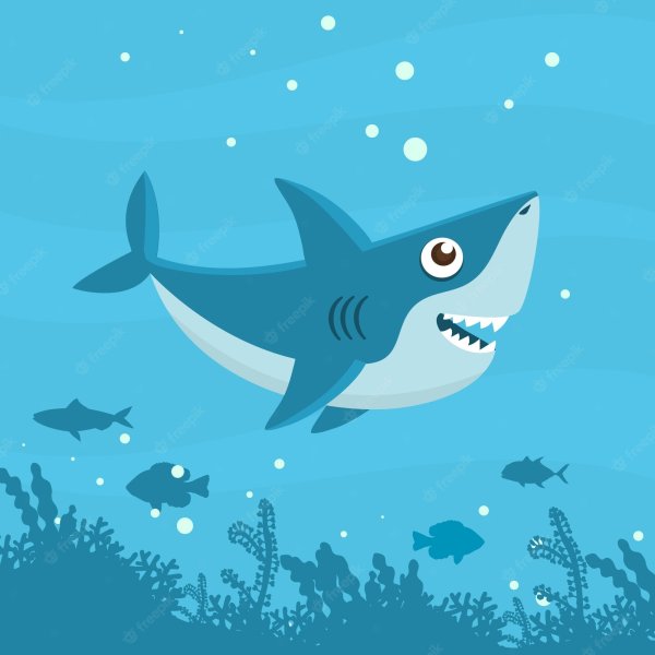 Акула рисунок для детей