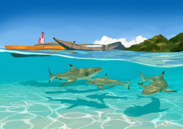 Прозрачная акула