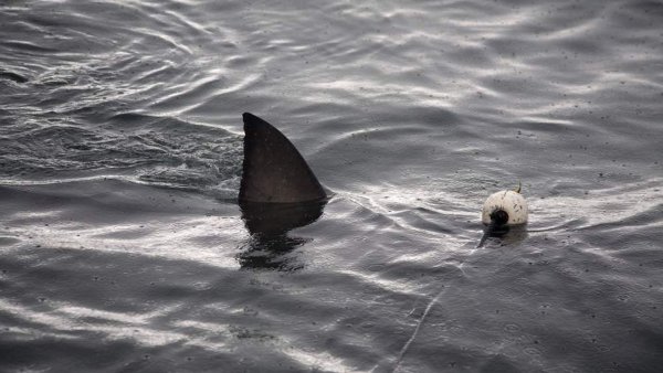 Жуткие фото моря