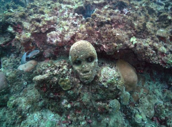 Страшные снимки океана