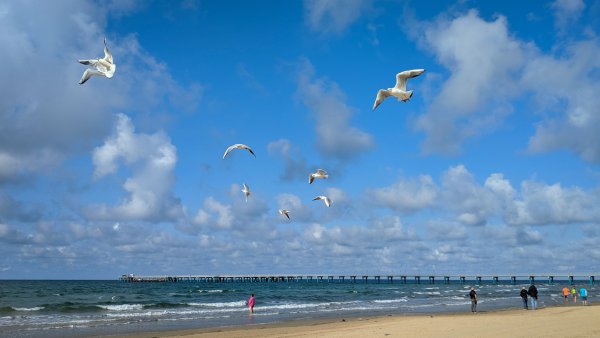 МОРЕФОН Анапа