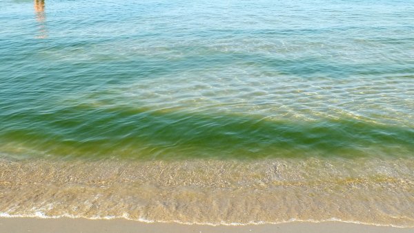 Песчаные пляжи Черноморского побережья