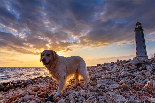 Море лабрадор