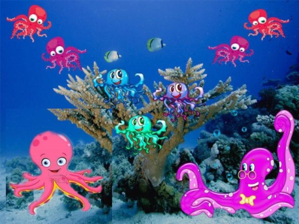 Осьминог в море для детей