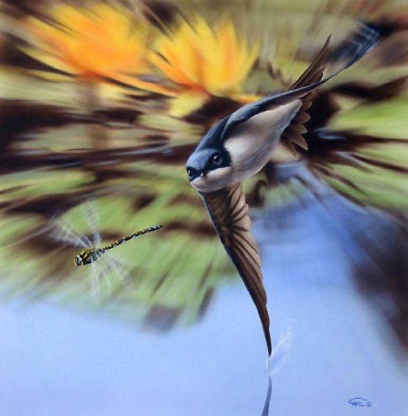 Ласточки летают