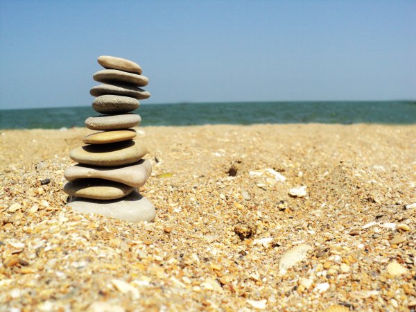 Море зовёт 2015