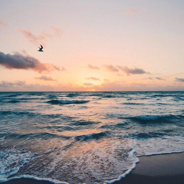 Море зовёт картинки красивые