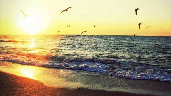 Солнце море Чайки пляж