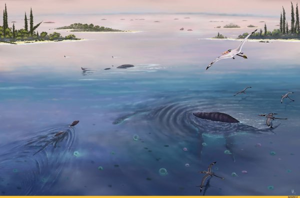 Среднерусское море Юрского периода