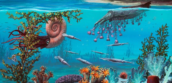 Море мелового периода