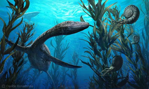 Лидсихтис Юрский период