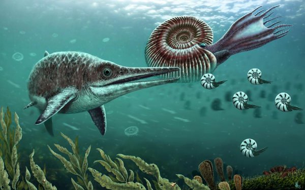 Ихтиозавры Юрского периода