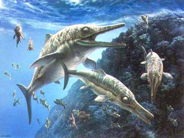 Ихтиозавры Юрского периода