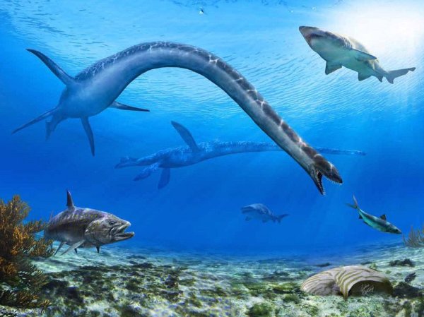 Динозавры морские Плезиозавр