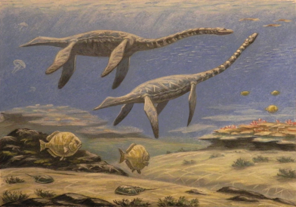 Plesiosaurus dolichodeirus