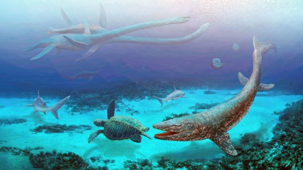 Меловой период Эласмозавр