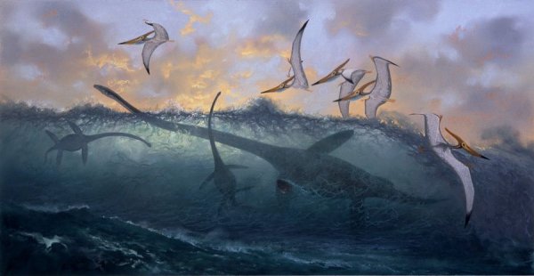 Среда обитания птеранодона