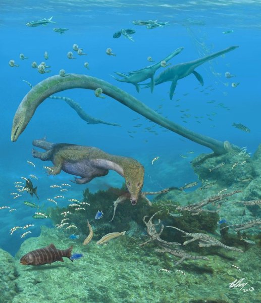 Морские животные мезозойской эры