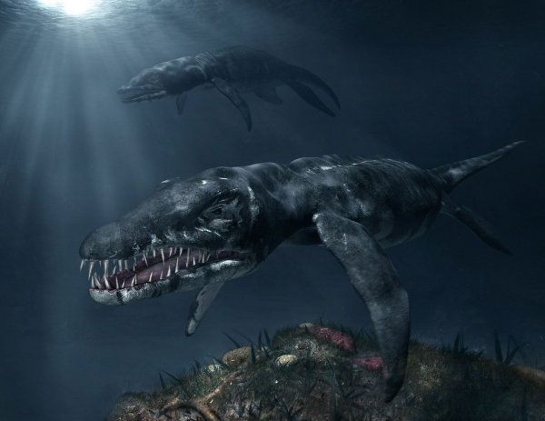 Подводный мир Юрского периода