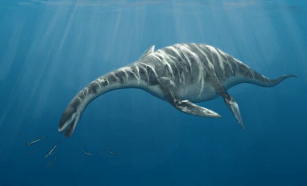 Лохнесское чудовище 2022