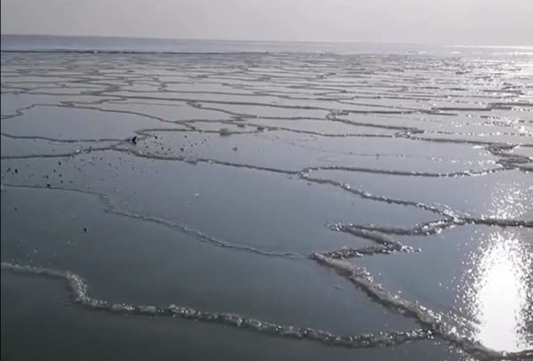 Голубицкая море зимой