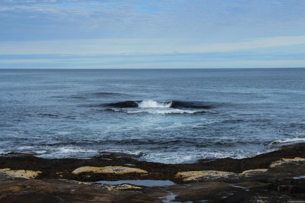 Баренцево море вид моря