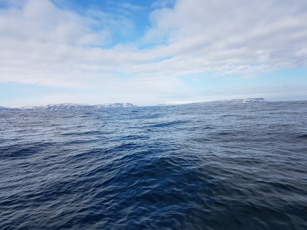 Мурманск море