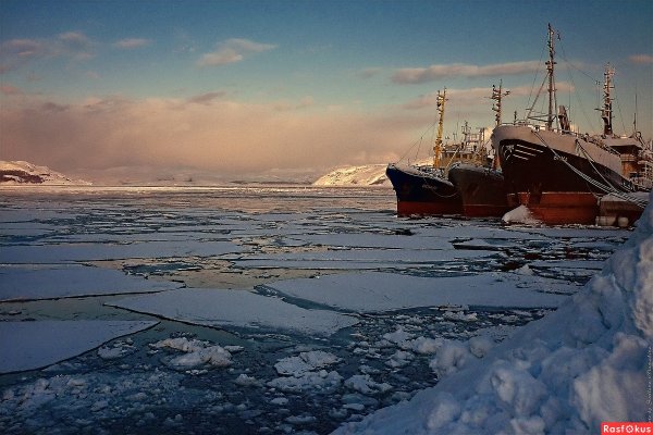Кольский залив Баренцева моря