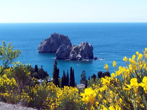 Артек природа Гурзуф