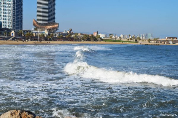 Барселона море