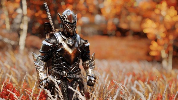 Рыцарь в доспехах