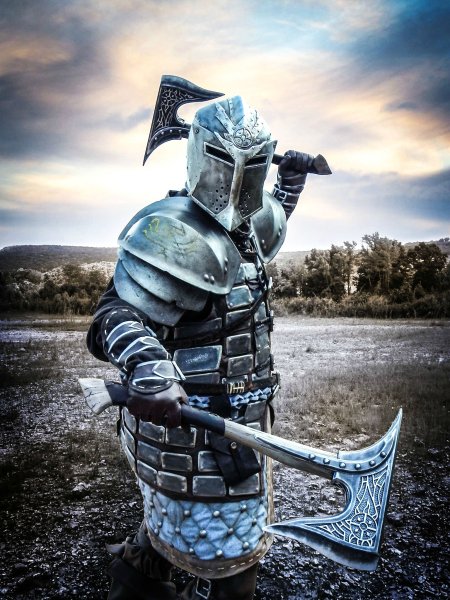 The Elder Scrolls рыцарь