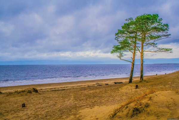 Остров Ягры белое море